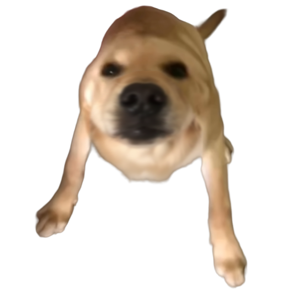 大狗